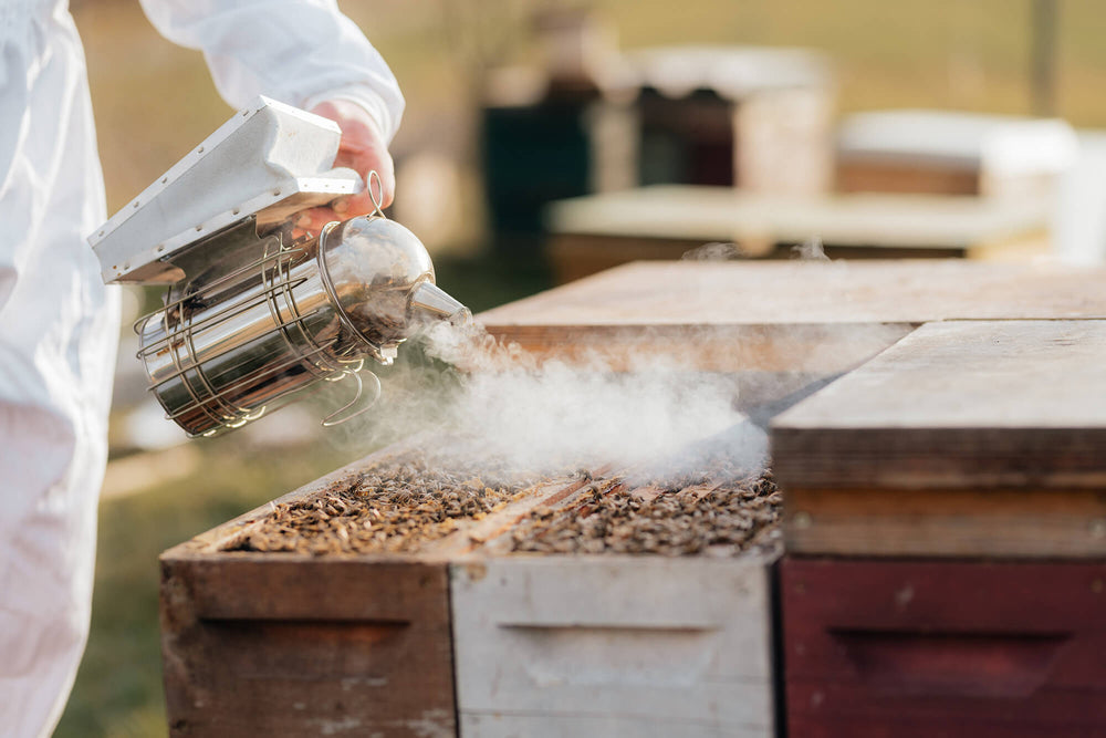 Imkerei Gerhard Braun