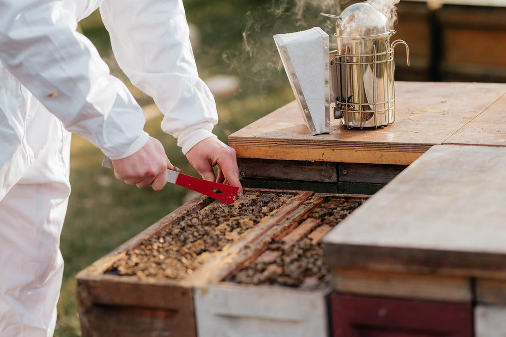 Imkerei Gerhard Braun